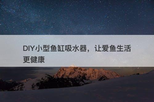 DIY小型鱼缸吸水器，让爱鱼生活更健康