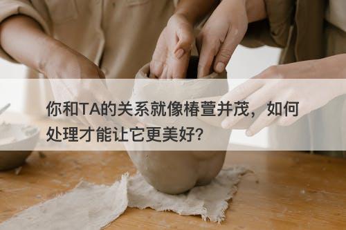 你和TA的关系就像椿萱并茂，如何处理才能让它更美好？