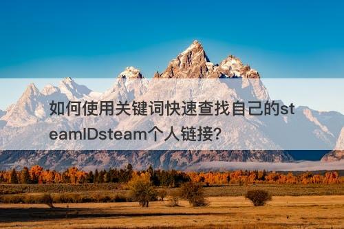 如何使用关键词快速查找自己的steamIDsteam个人链接？