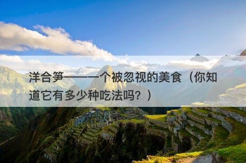 洋合笋——一个被忽视的美食（你知道它有多少种吃法吗？）