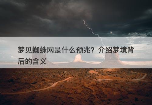 梦见蜘蛛网是什么预兆？介绍梦境背后的含义