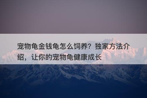 宠物龟金钱龟怎么饲养？独家方法介绍，让你的宠物龟健康成长