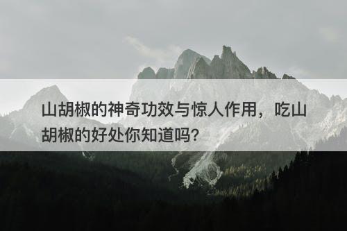 山胡椒的神奇功效与惊人作用，吃山胡椒的好处你知道吗？