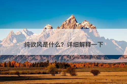 纯欲风是什么？详细解释一下