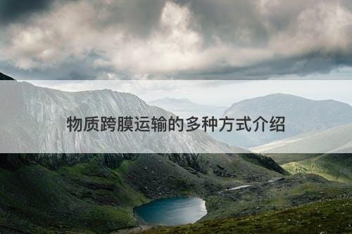 物质跨膜运输的多种方式介绍-图1