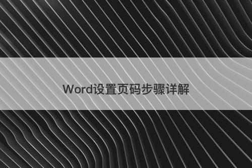 Word设置页码步骤详解-图1