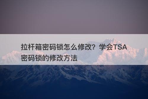 拉杆箱密码锁怎么修改？学会TSA密码锁的修改方法