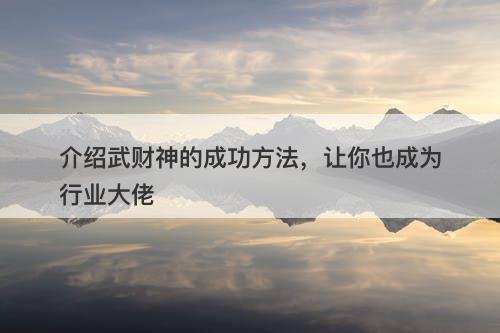 介绍武财神的成功方法，让你也成为行业大佬