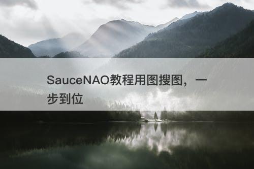 SauceNAO教程用图搜图，一步到位