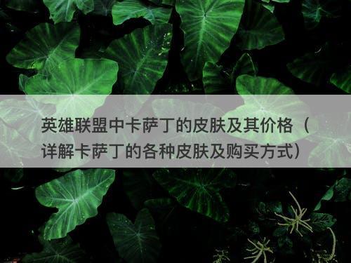 英雄联盟中卡萨丁的皮肤及其价格（详解卡萨丁的各种皮肤及购买方式）