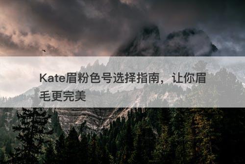 Kate眉粉色号选择指南，让你眉毛更完美