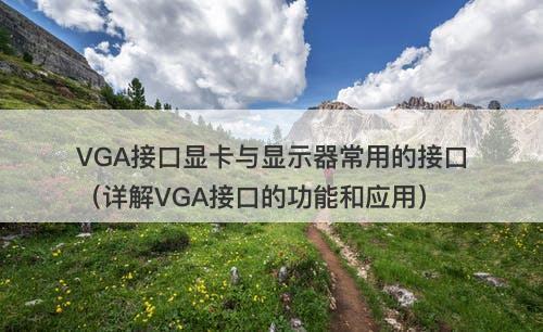 VGA接口显卡与显示器常用的接口（详解VGA接口的功能和应用）