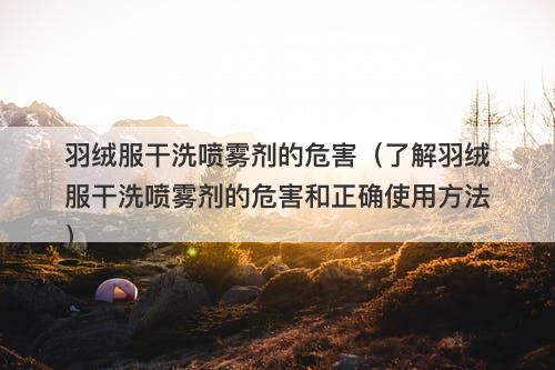 羽绒服干洗喷雾剂的危害（了解羽绒服干洗喷雾剂的危害和正确使用方法）