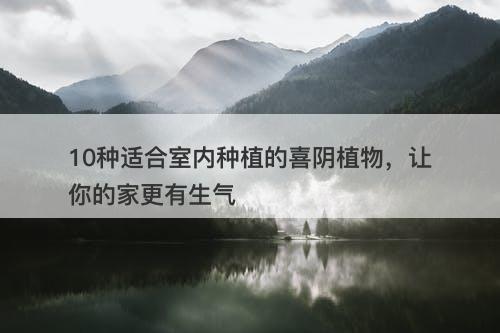 10种适合室内种植的喜阴植物，让你的家更有生气