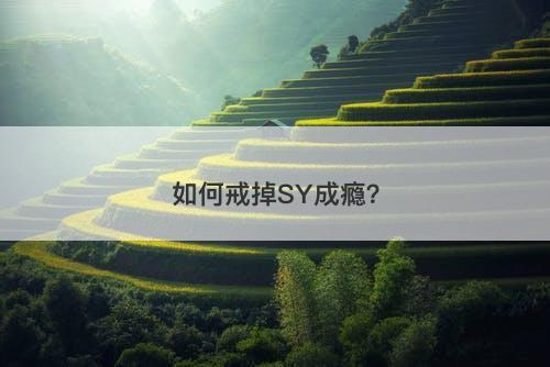 如何戒掉SY成瘾？