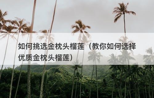 如何挑选金枕头榴莲（教你如何选择优质金枕头榴莲）