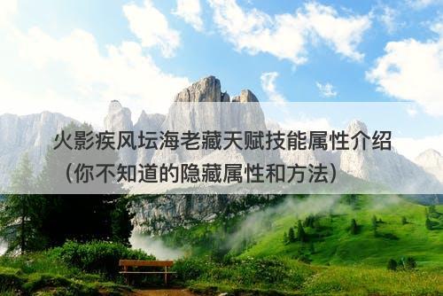 火影疾风坛海老藏天赋技能属性介绍（你不知道的隐藏属性和方法）