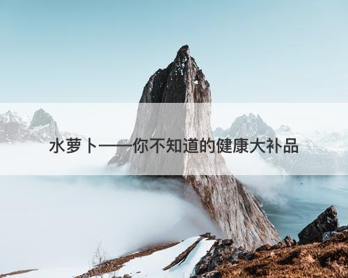 水萝卜——你不知道的健康大补品