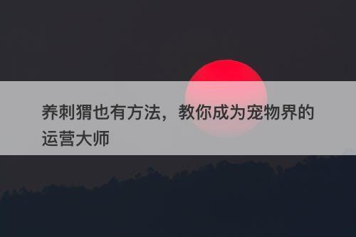 养刺猬也有方法，教你成为宠物界的运营大师