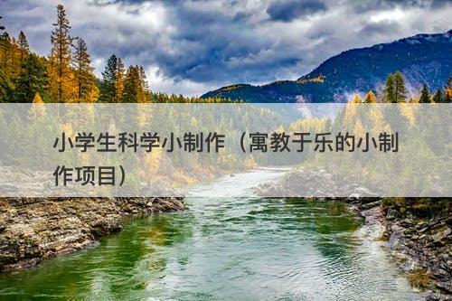 小学生科学小制作（寓教于乐的小制作项目）