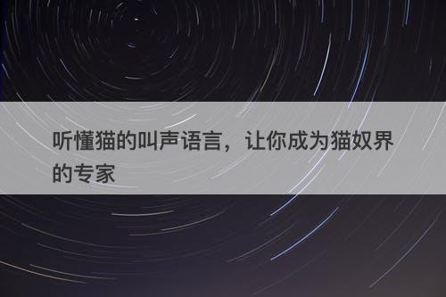 听懂猫的叫声语言，让你成为猫奴界的专家