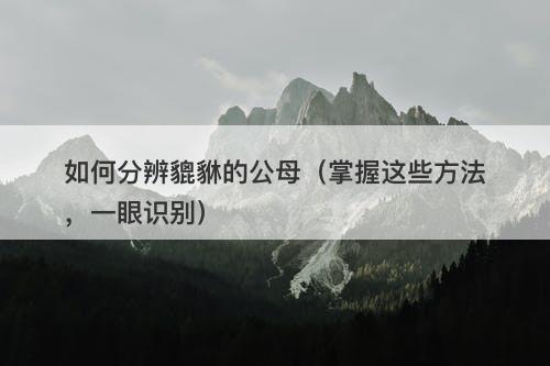 如何分辨貔貅的公母（掌握这些方法，一眼识别）