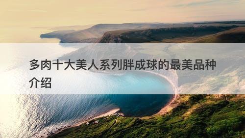 多肉十大美人系列胖成球的最美品种介绍