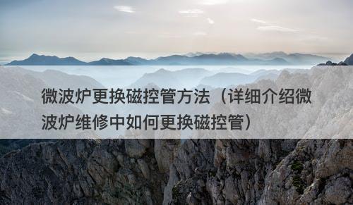 微波炉更换磁控管方法（详细介绍微波炉维修中如何更换磁控管）