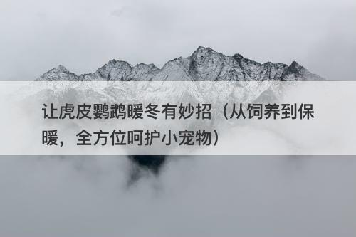 让虎皮鹦鹉暖冬有妙招（从饲养到保暖，全方位呵护小宠物）