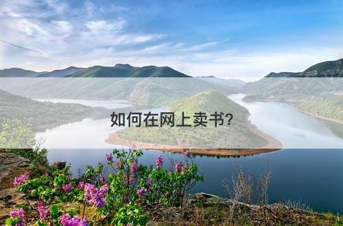 如何在网上卖书？