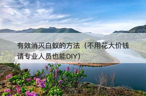 有效消灭白蚁的方法（不用花大价钱请专业人员也能DIY）