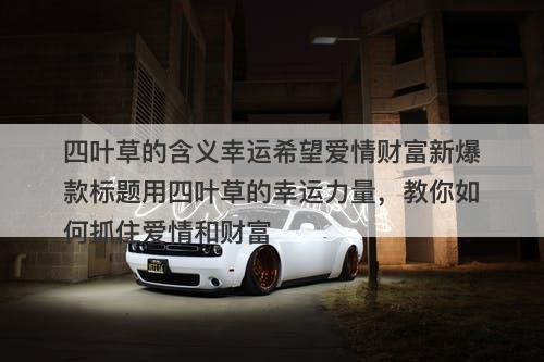 四叶草的含义幸运希望爱情财富新爆款标题用四叶草的幸运力量，教你如何抓住爱情和财富