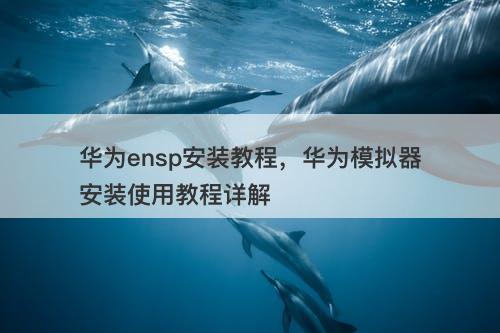 华为ensp安装教程，华为模拟器安装使用教程详解