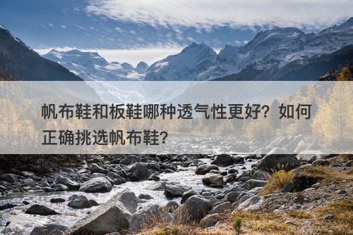 帆布鞋和板鞋哪种透气性更好？如何正确挑选帆布鞋？