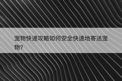 宠物快递攻略如何安全快速地寄送宠物？