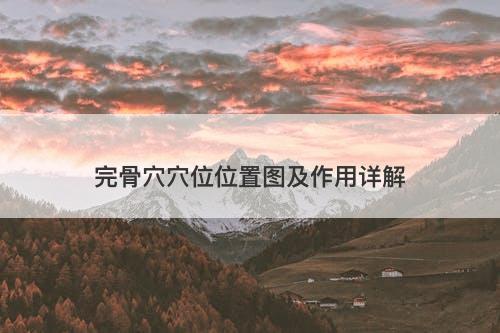 完骨穴穴位位置图及作用详解