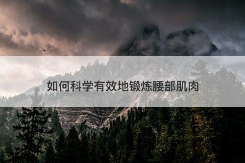 如何科学有效地锻炼腰部肌肉