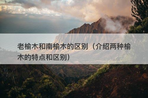 老榆木和南榆木的区别（介绍两种榆木的特点和区别）