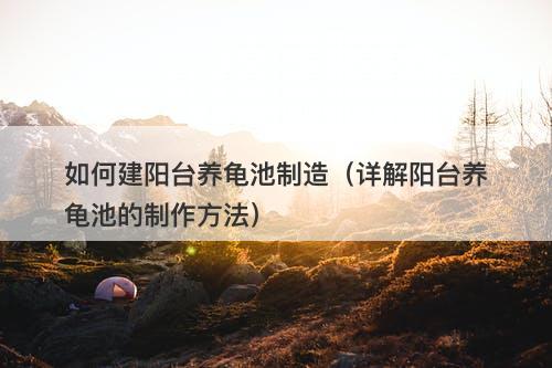 如何建阳台养龟池制造（详解阳台养龟池的制作方法）