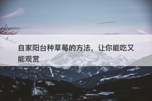 自家阳台种草莓的方法，让你能吃又能观赏