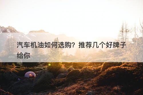 汽车机油如何选购？推荐几个好牌子给你