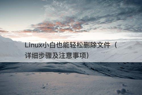 Linux小白也能轻松删除文件（详细步骤及注意事项）