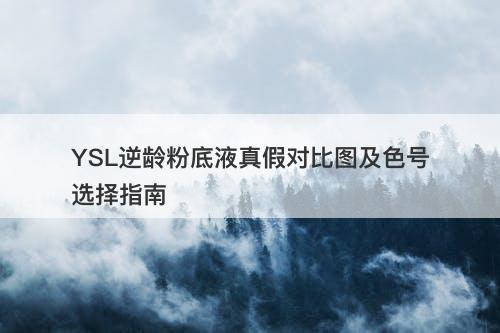 YSL逆龄粉底液真假对比图及色号选择指南