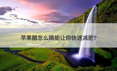 苹果醋怎么喝能让你快速减肥？