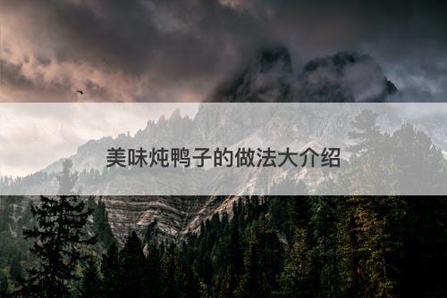 美味炖鸭子的做法大介绍