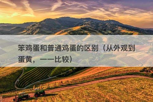 笨鸡蛋和普通鸡蛋的区别（从外观到蛋黄，一一比较）