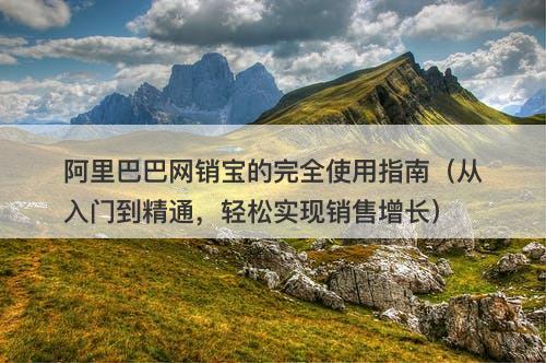 阿里巴巴网销宝的完全使用指南（从入门到精通，轻松实现销售增长）