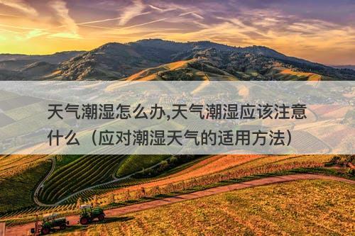 天气潮湿怎么办,天气潮湿应该注意什么（应对潮湿天气的适用方法）