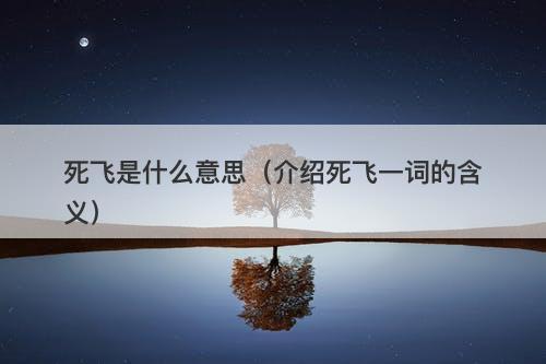 死飞是什么意思（介绍死飞一词的含义）