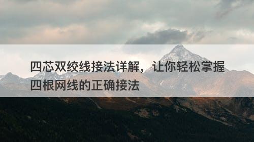 四芯双绞线接法详解，让你轻松掌握四根网线的正确接法